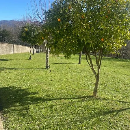 Σπίτι διακοπών Zamoreira Viana Do Castelo,