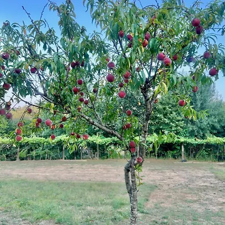 Zamoreira Viana Do Castelo, بيت للعطل اركوس دي فالديفيز